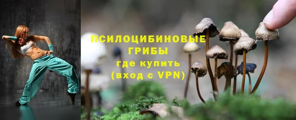 скорость Заводоуковск
