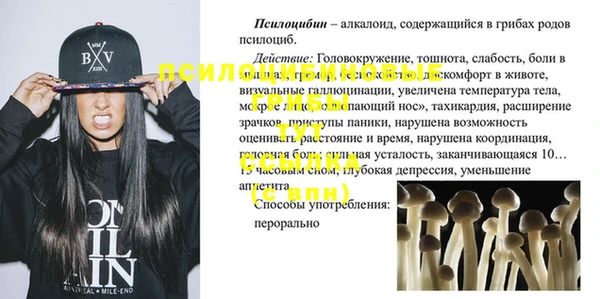 скорость Заводоуковск