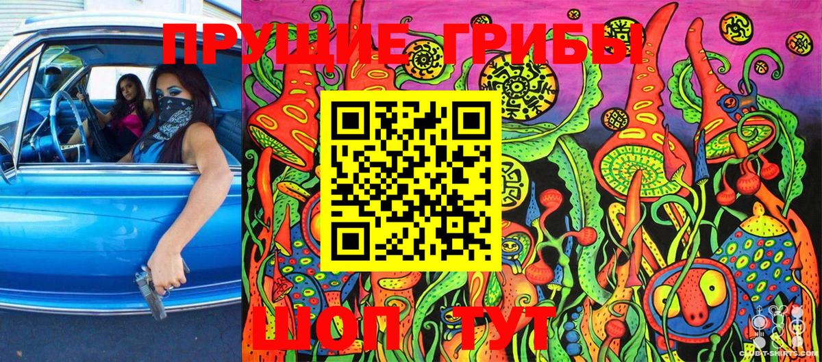 Галлюциногенные грибы Cubensis Похвистнево