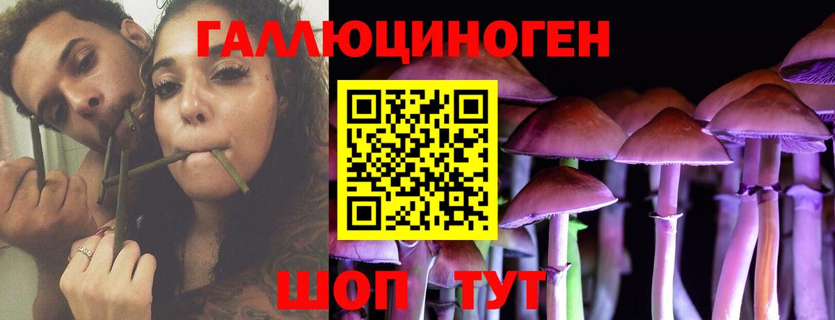 купить  сайты  Галлюциногенные грибы Magic Shrooms  Вход с VPN  Похвистнево 